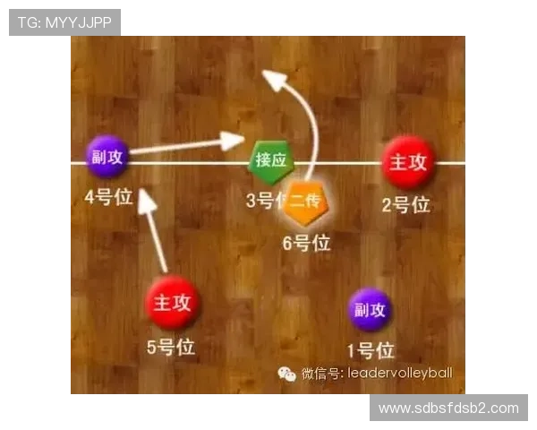 上海排球队节奏对比分析揭示战术优势与不足之处 上海排球队节奏对比分析揭示战术优势与不足之处