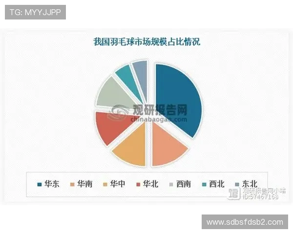 成都羽毛球队个人能力深度对比与分析揭示选手潜力与发展方向