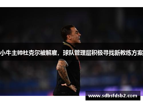 小牛主帅杜克尔被解雇，球队管理层积极寻找新教练方案