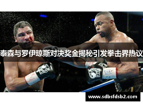 泰森与罗伊琼斯对决奖金揭秘引发拳击界热议